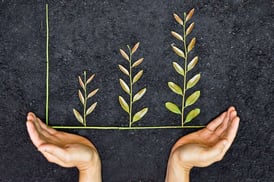 iStock_000037000502_Small