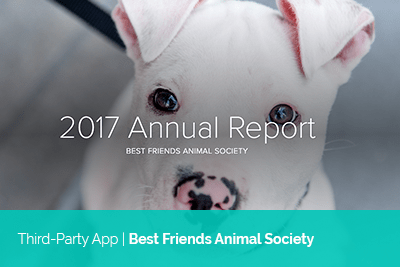 Best_Nonprofit_Annual_Reports-Best-Friends-Animal-Society