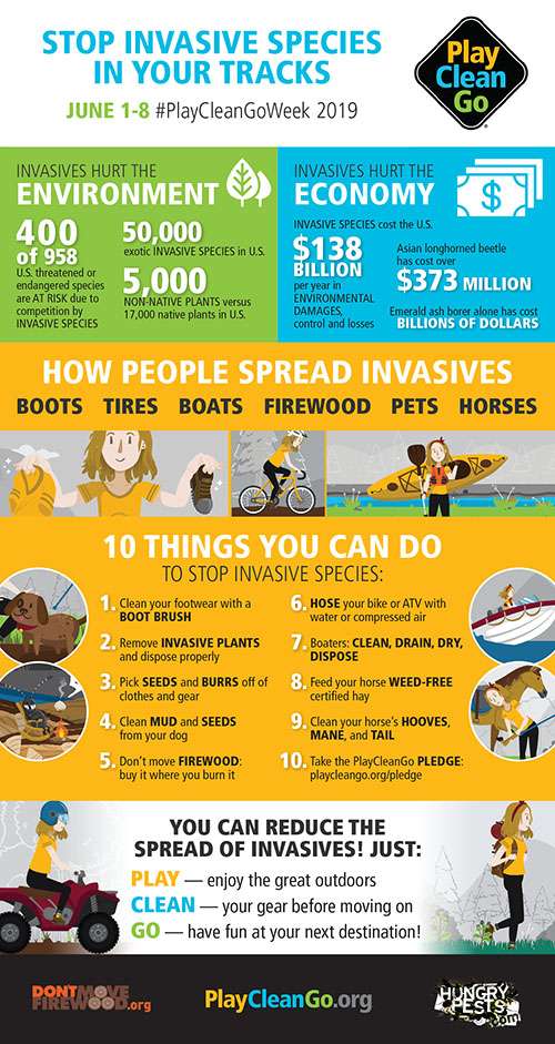 PlayCleanGo_Awareness_Week_Infographic-FNL