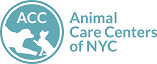 ACC NYC1-6