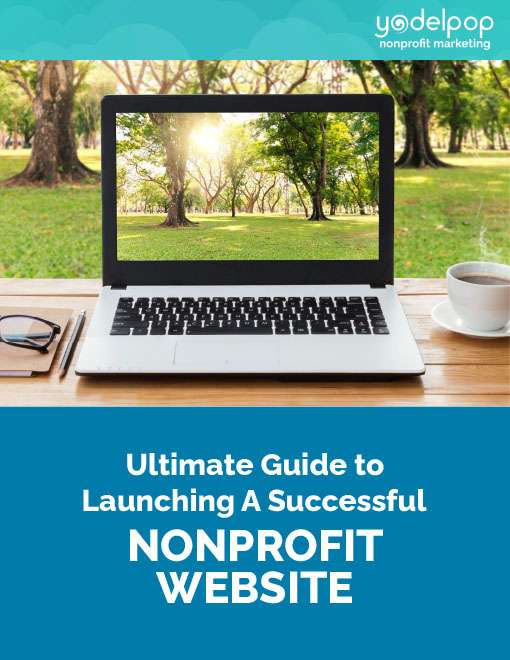 Launching A Successful Nonprofit Website