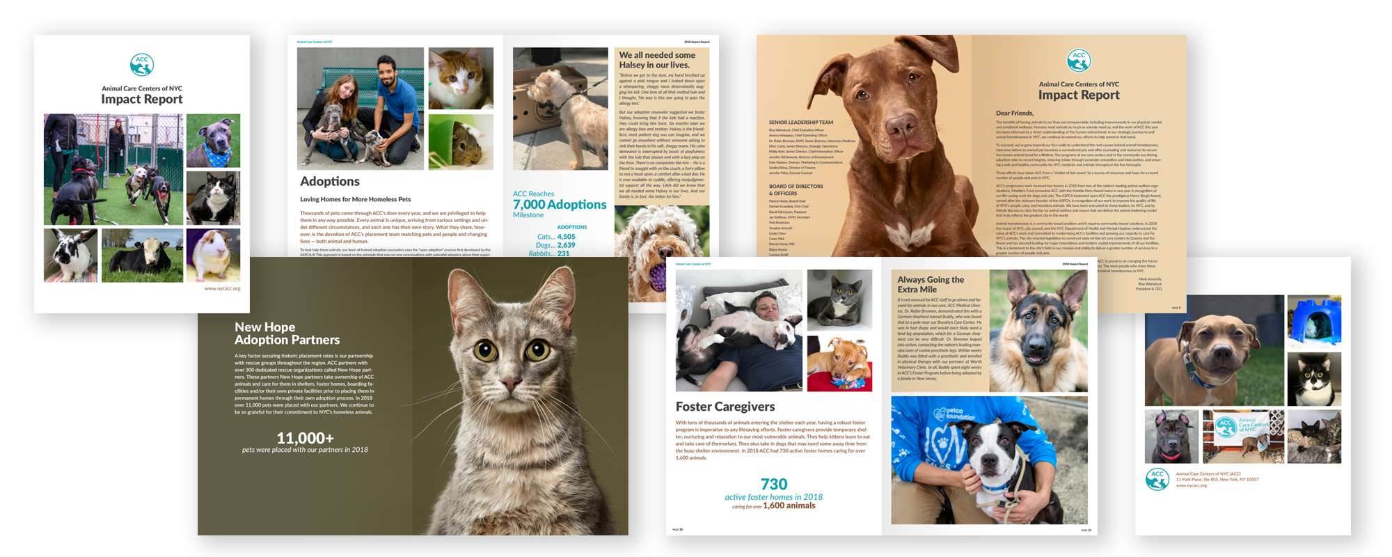 ACC-annualreport ACC-annualreport