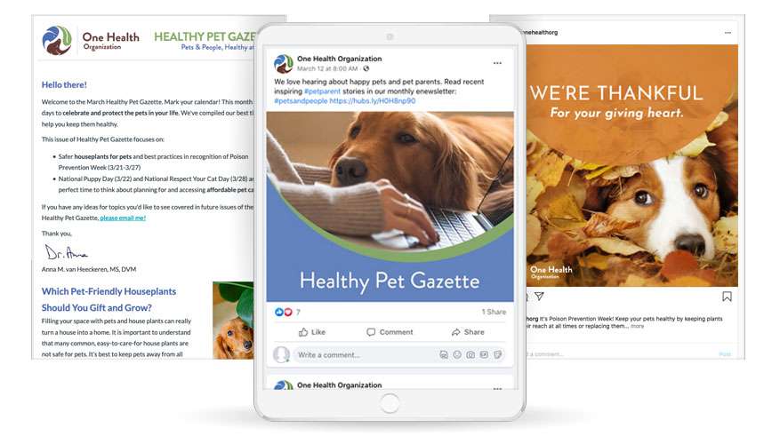 OneHealth-e-mail-social OneHealth-e-mail-social